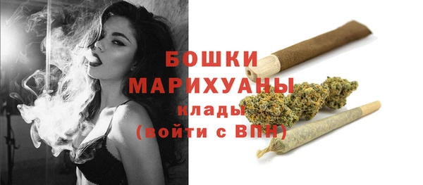 гашик Беломорск