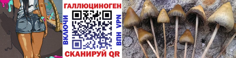 ссылка на мегу tor  наркотики  Болгар  Галлюциногенные грибы MAGIC MUSHROOMS 